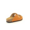 PLAKTON CP BETA Orange