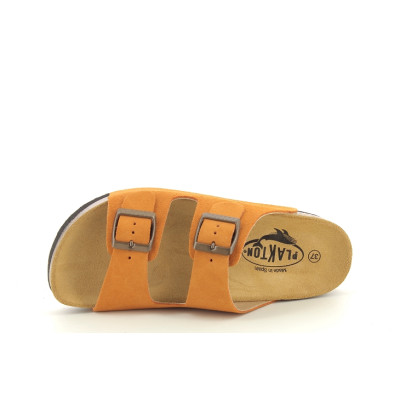 PLAKTON CP BETA Orange