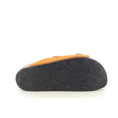 PLAKTON CP BETA Orange