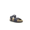 PLAKTON LOUIS NUB Marine