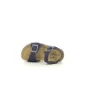 PLAKTON LOUIS NUB Marine