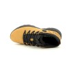 TIMBERLAND SPRINT TREKKER MID Miel