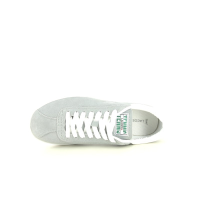 LACOSTE BASESHOT Gris