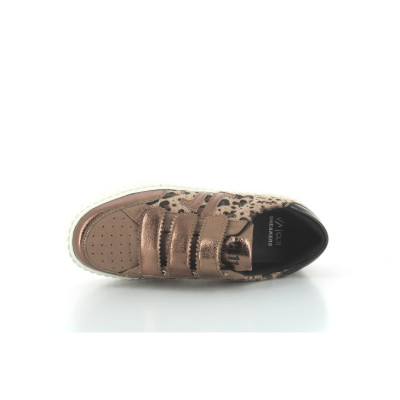 CL11 CL91 Bronze