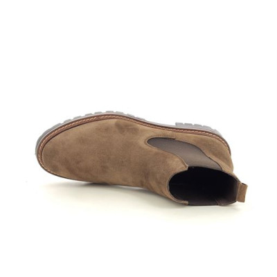 ALPE 2609 Camel