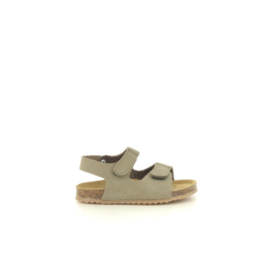 PLAKTON PANTER Kaki