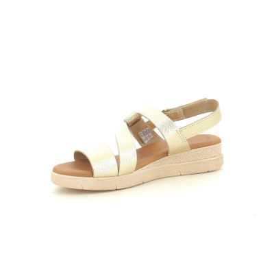 EVA FRUTOS 5240 Or