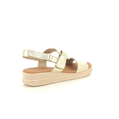 EVA FRUTOS 5240 Or