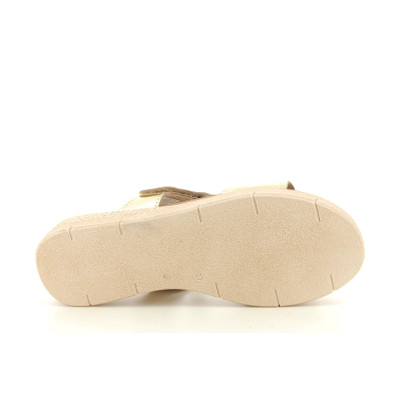 EVA FRUTOS 5240 Or