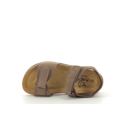 PLAKTON PONY Cuero