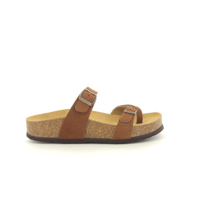 PLAKTON CP BOMBAY Cuero