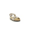 PLAKTON PALMA B Beige