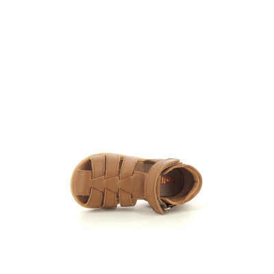 BELLAMY PARVEL Cognac