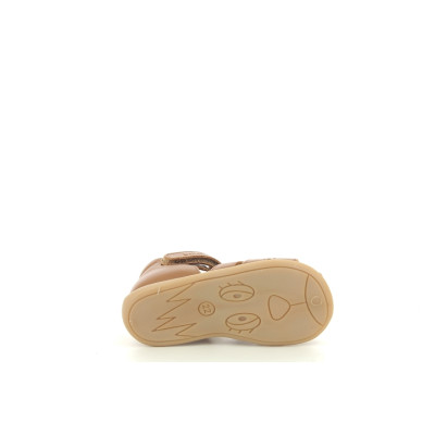 BELLAMY PARVEL Cognac