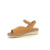 DORKING D8771 Marron