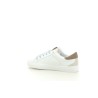 CL11 CL88 Taupe