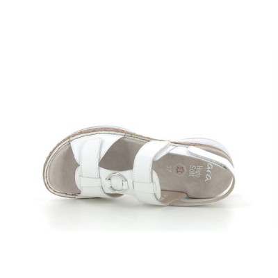 ARA 12 29001 Blanc