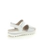 ARA 12 47 209 Argent