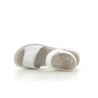 ARA 12 47 209 Argent