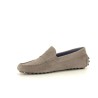 AZZARO SOL Taupe