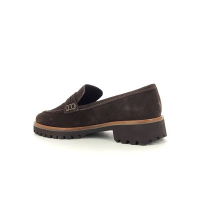 ARA 1231201 Marron