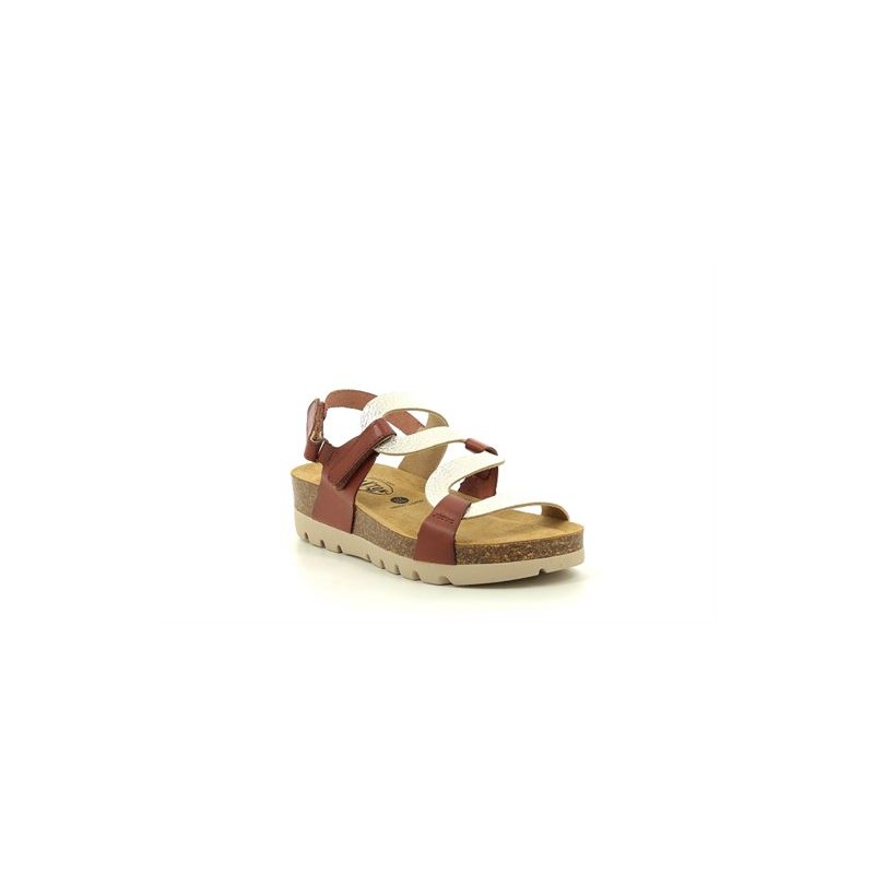 PLAKTON CURVI Camel