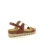 PLAKTON CURVI Camel