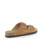 SCHOLL JULIEN Marron