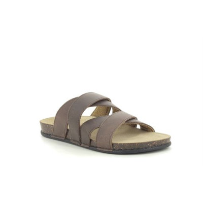 TBS SAXONS Bronze