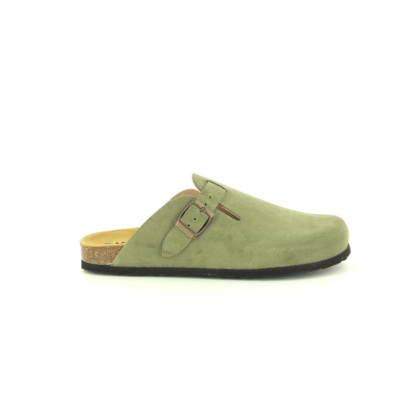 PLAKTON BLOG H Kaki
