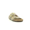 BIRKENSTOCK ARIZONA BIG BUCKLE Taupe