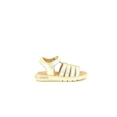GBB SAVANT Or