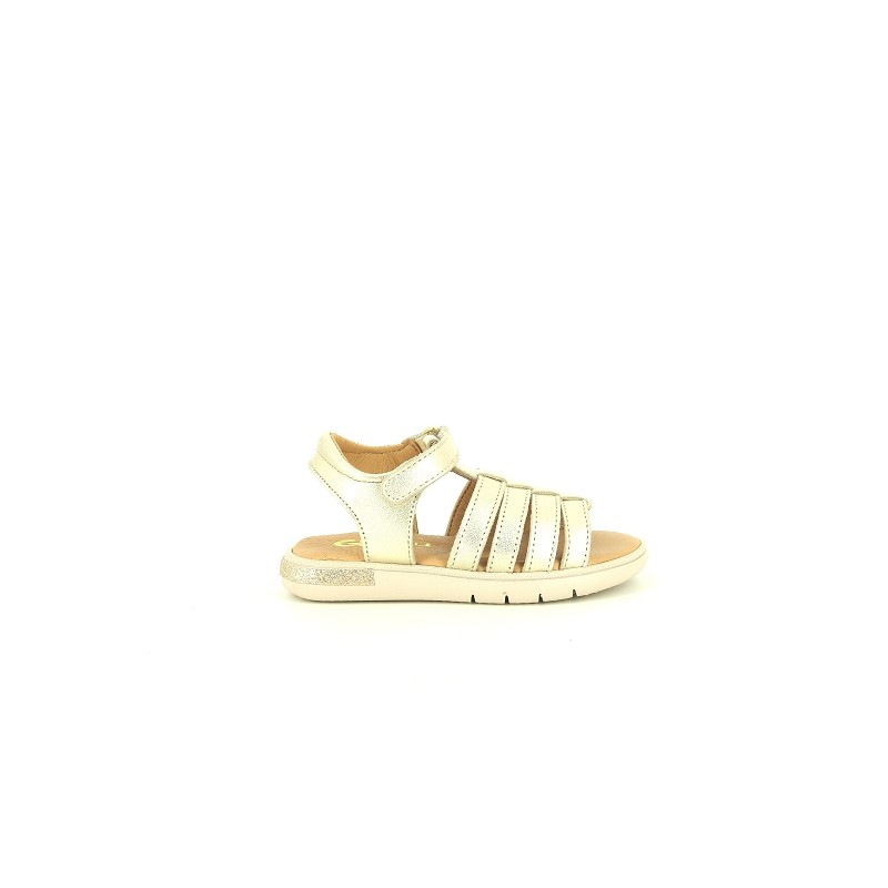 GBB SAVANT Or
