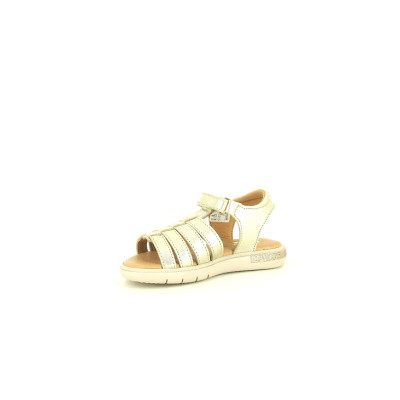 GBB SAVANT Or