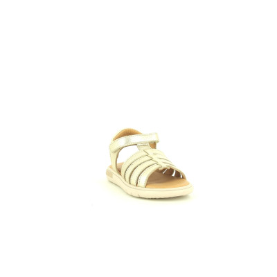 GBB SAVANT Or