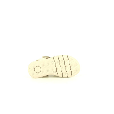 GBB SAVANT Or