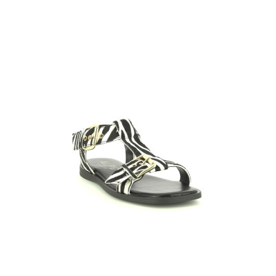 ALPE CEBRA 5598 Zèbre