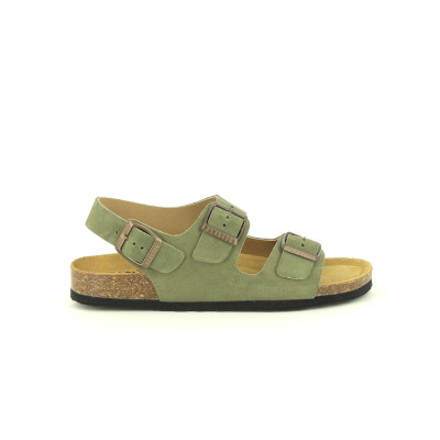 PLAKTON BAKU F Kaki