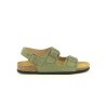 PLAKTON BAKU F Kaki