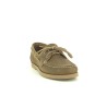 TBS PHENIS Marron