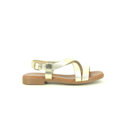 CARLA TORTOSA 21721 Platine