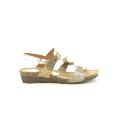 BUBEL 2164 Champagne