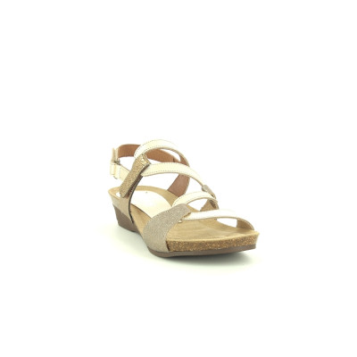 BUBEL 2164 Champagne