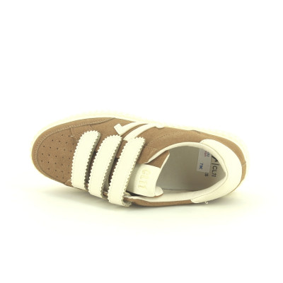 CL11 CL 103 Marron