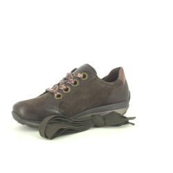 ARA 1264587 Marron