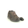 ARA 1264587 Marron