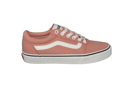 VANS WARD<br>Rose