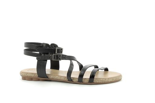PORRONET 212 603<br>Noir