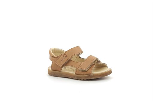 BELLAMY FABIEN<br>Camel