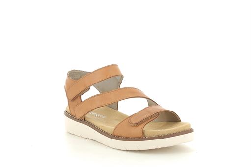  D2050<br>Cuir Marron  